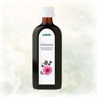 echinacina